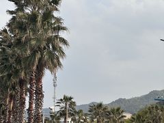 -晓琦农家菜馆·地道农家菜