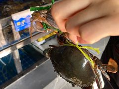 -大厨的餐厅(曾厝垵总店)