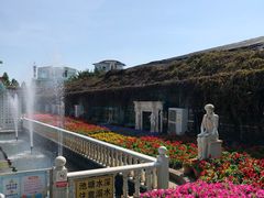 -百万葵园