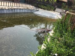 -济南野生动物世界