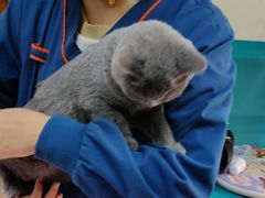 -康乐宝动物医院