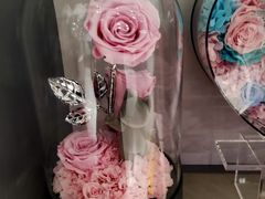 -ROSEONLY诺誓(国际广场购物中心店)