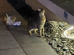 -曾牛土菜(捷瑞达店)