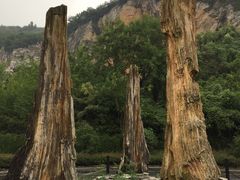 -金钉子远古世界景区
