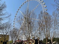 -石家庄市植物园
