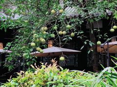 -王家渡火锅(三苏祠店)