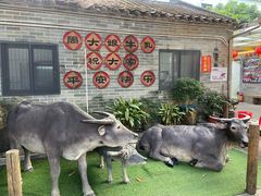 -周大娘牛乳(旧寨古村总店)