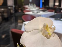 -苏淮景·苏闽融创菜·海鲜(原空港井河轩店)