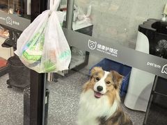 -宠物家(长阳店)