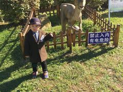 -自然谷恐龙园