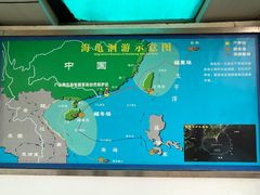 -广东惠东海龟国家级自然保护区