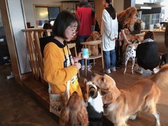 -萌喵咖啡屋(人民东路4号口M16商铺店)