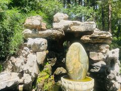 -上海醉白池公园