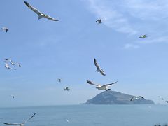 -海驴岛(荣成市)