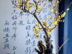 -颐和园
