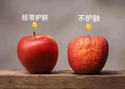 -慈蕊美容养生·专业经络调理