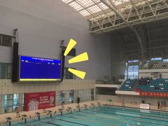 -广西体育中心-游泳馆