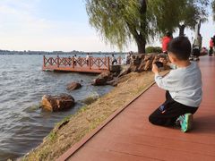-丁香湖公园