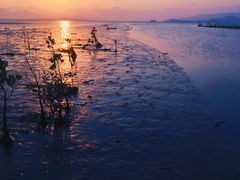 -惠东南站