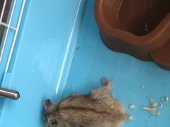 -宠爱我(南山店)