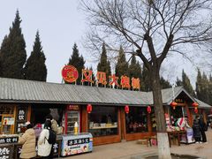 -大槐树寻根祭祖园