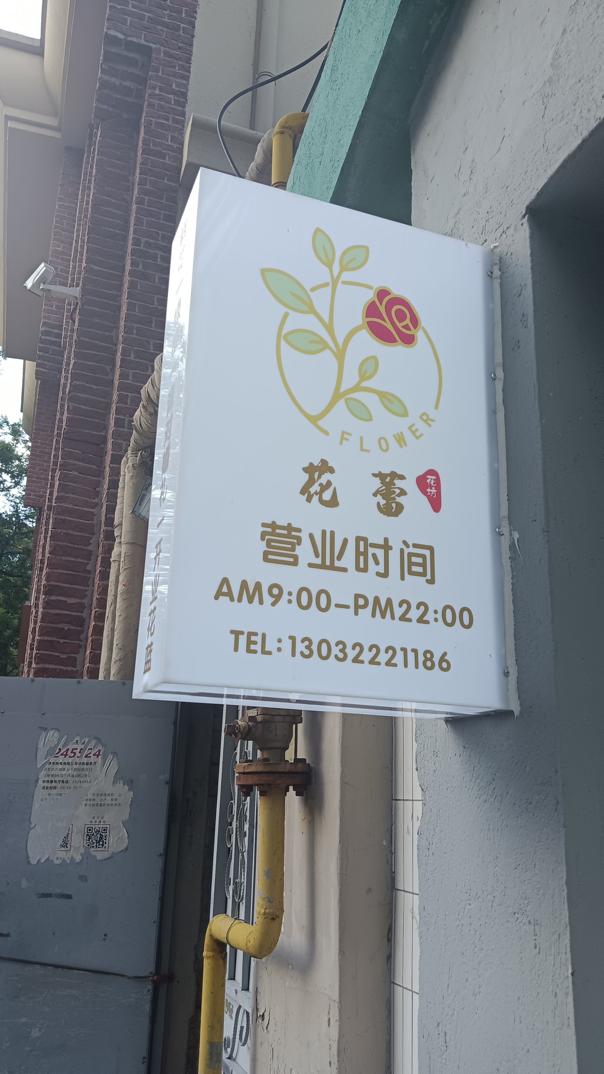 城市尝鲜计划 
夏日看花🌺
鲜花店特别舒服