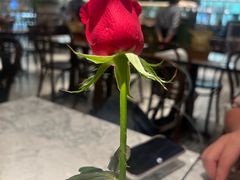 -关夫人餐厅(KLCC阳光广场店)