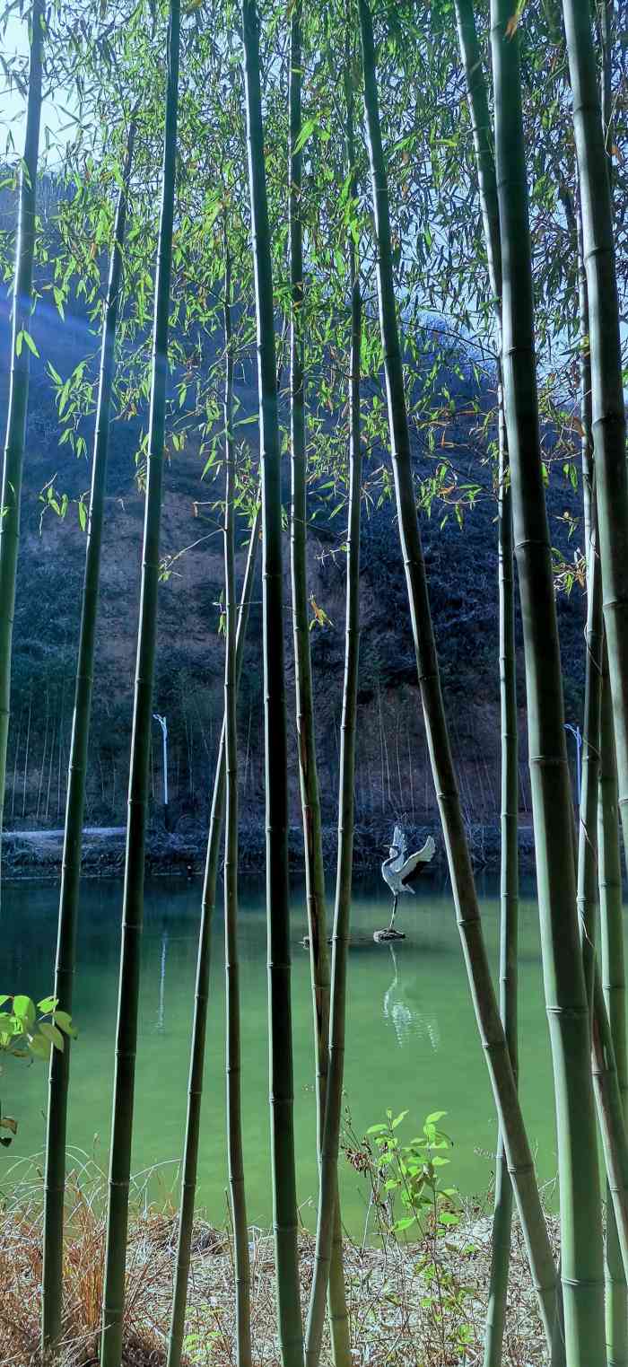西安鲸鱼沟竹海风景区-"第二次来了,位于灞桥区狄寨村,纺织城过来.