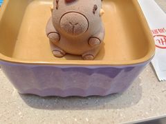 -海底捞大排档火锅(打浦路店)