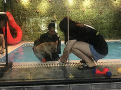 -Goku PET SHOP宠物视觉生活馆(双井店)
