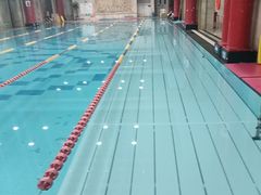 -飞鲨游泳培训学校