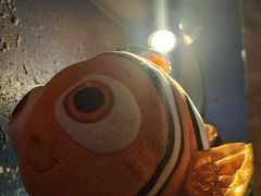 -逃脱反斗城沉浸剧情密室(北京路店)