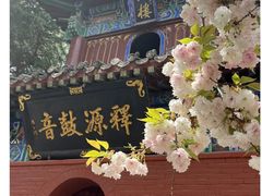 -洛阳白马寺