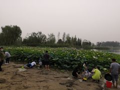 -南戴河国际娱乐中心