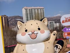 -青藏高原野生动物园
