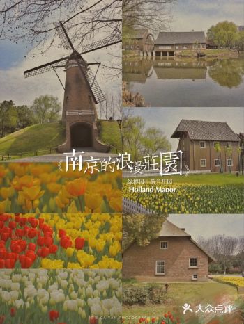 南京惊现荷兰庄园，是遛娃最佳地哦。