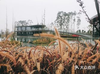 青白江除了凤凰湖再来一个湿地公园——长流河生态公园