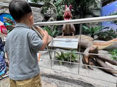 -国家自然博物馆