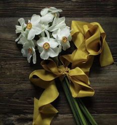 -花轿喜屋婚礼策划