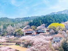 -崂山九水游览区