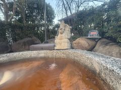-余姚阳明温泉山庄