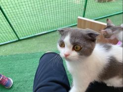 -萌宠亲子动物乐园(槐房万达店)