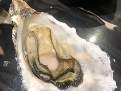 -千岛蚝高压锅生蚝·人参火锅(白云万达店)