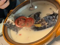 -全乐鱼馆·淳牌有机鱼直营店