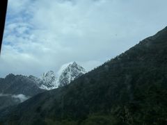 -金鼎雪山牦牛杂火锅(理县总店)