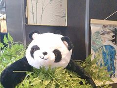 -茶去咖啡屋(武侯祠店)