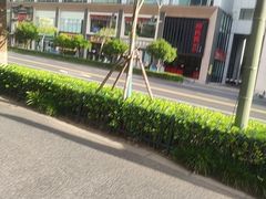 -杨氏青龙虾·羊蝎子(珠江路店)