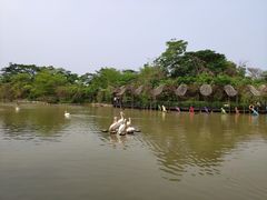 -大湾区中央湿地公园