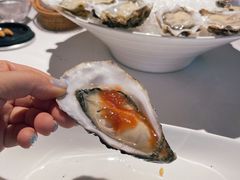 -Oyster Talks 四度蚝法餐厅