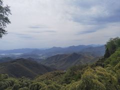 -莫干山风景区